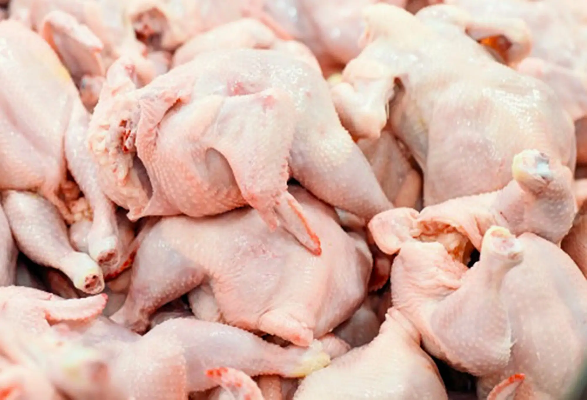 Fresh Whole Chicken